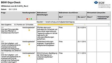 Anleitung BGW Orga-Check: Bildschirmfoto PDF Auswertung