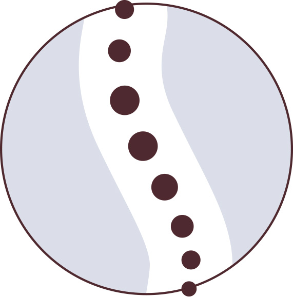 Ilustration: Wirbelsäule