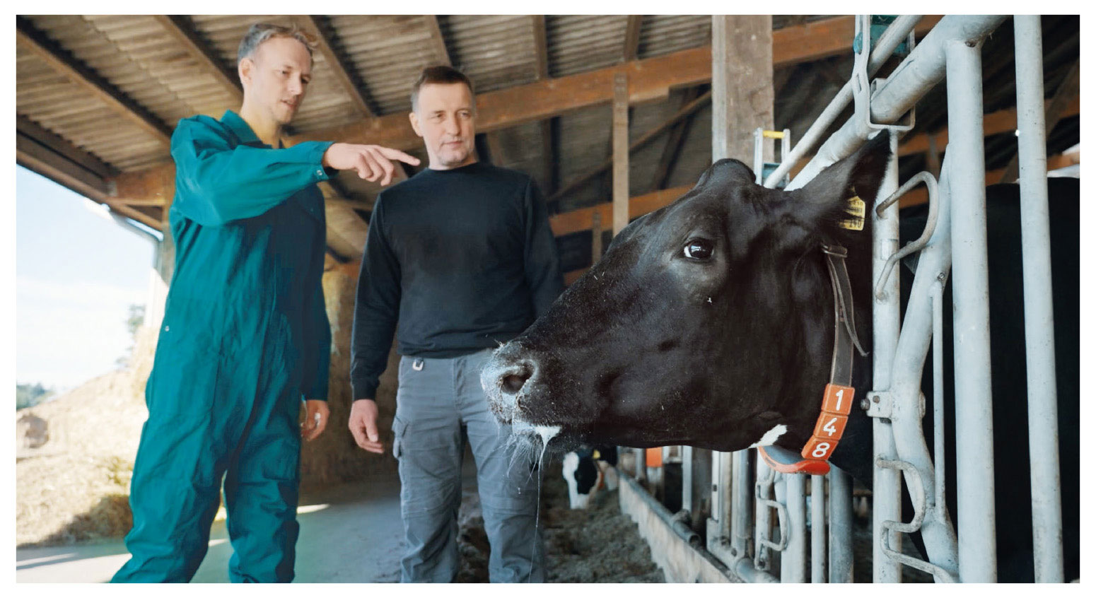 Zwei Männer, einer davon in Arbeitsoverall, der andere ebenso in Arbeitskleidung stehen im Stall eines Viehbetriebs. Der Kopf eines Rinds ist in einem Gatter fixiert, eine der Personen weist mit dem Finger auf das Tier.