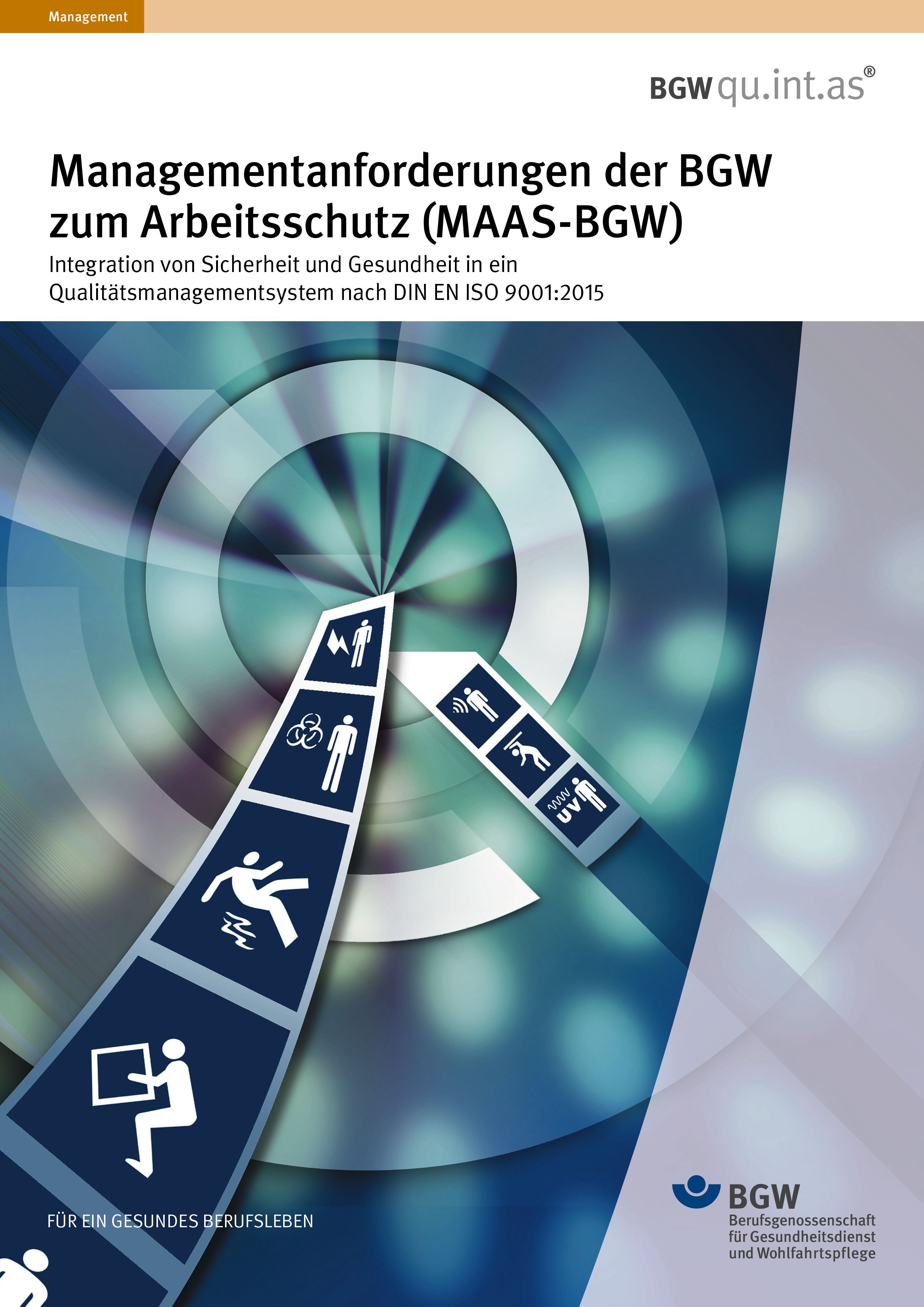 Titel: Managementanforderungen der BGW zum Arbeitsschutz für DIN EN ISO 9001:2015 - aus einem Sog in der Mitte kommen Streifen mit Piktogrammen (Unfall, Radioaktivität, Elektrizität, Tragen, Heben)