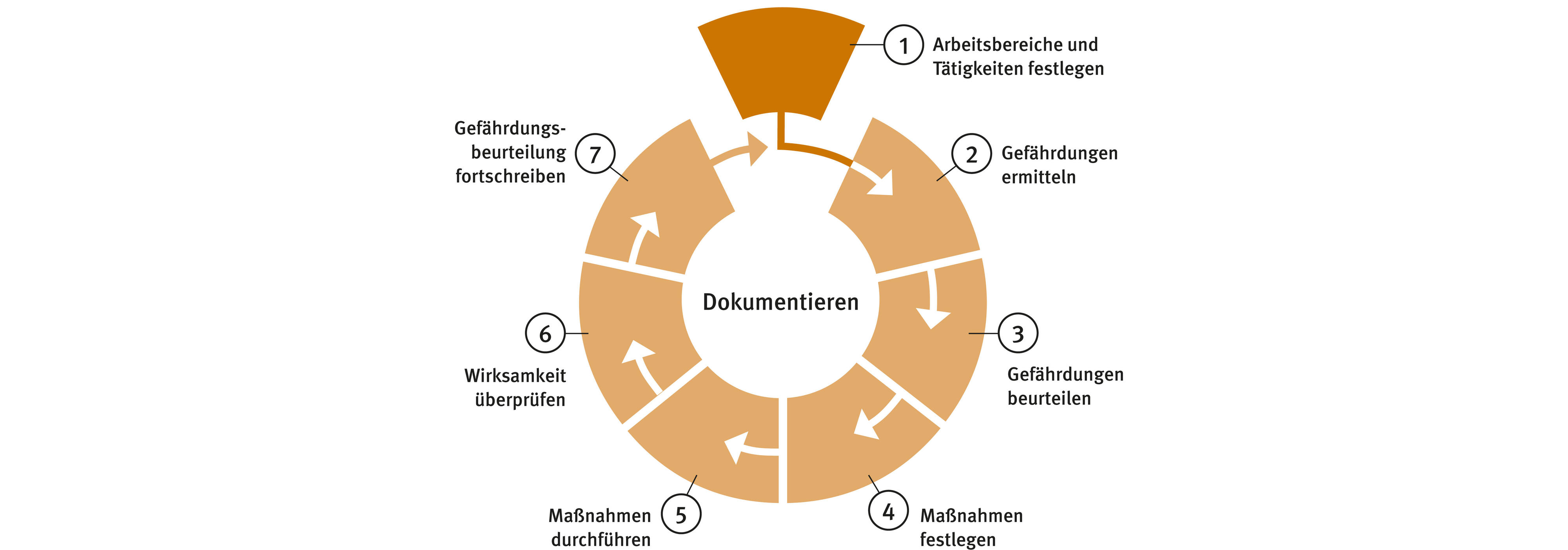 Die Grafik zeigt einen in sieben gleichmäßige Abschnitte unterteilten Kreis, davon ist der erste farblich hervorgehoben und aus dem Kreis herausgelöst.