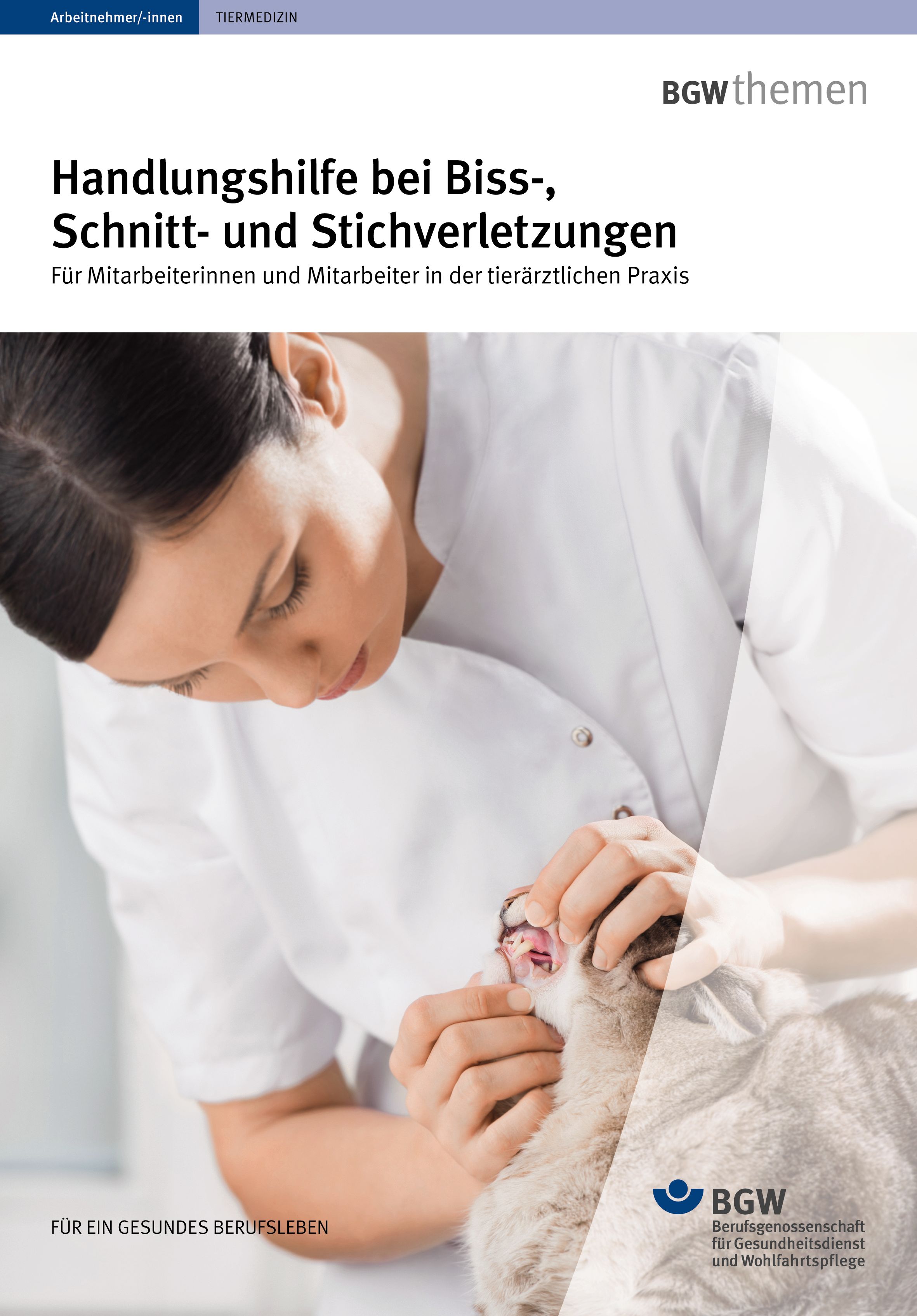 Titel: Handlungshilfe bei Biss-, Schnitt- und Stichverletzungen - Tierärztin schaut in das Maul einer Katze