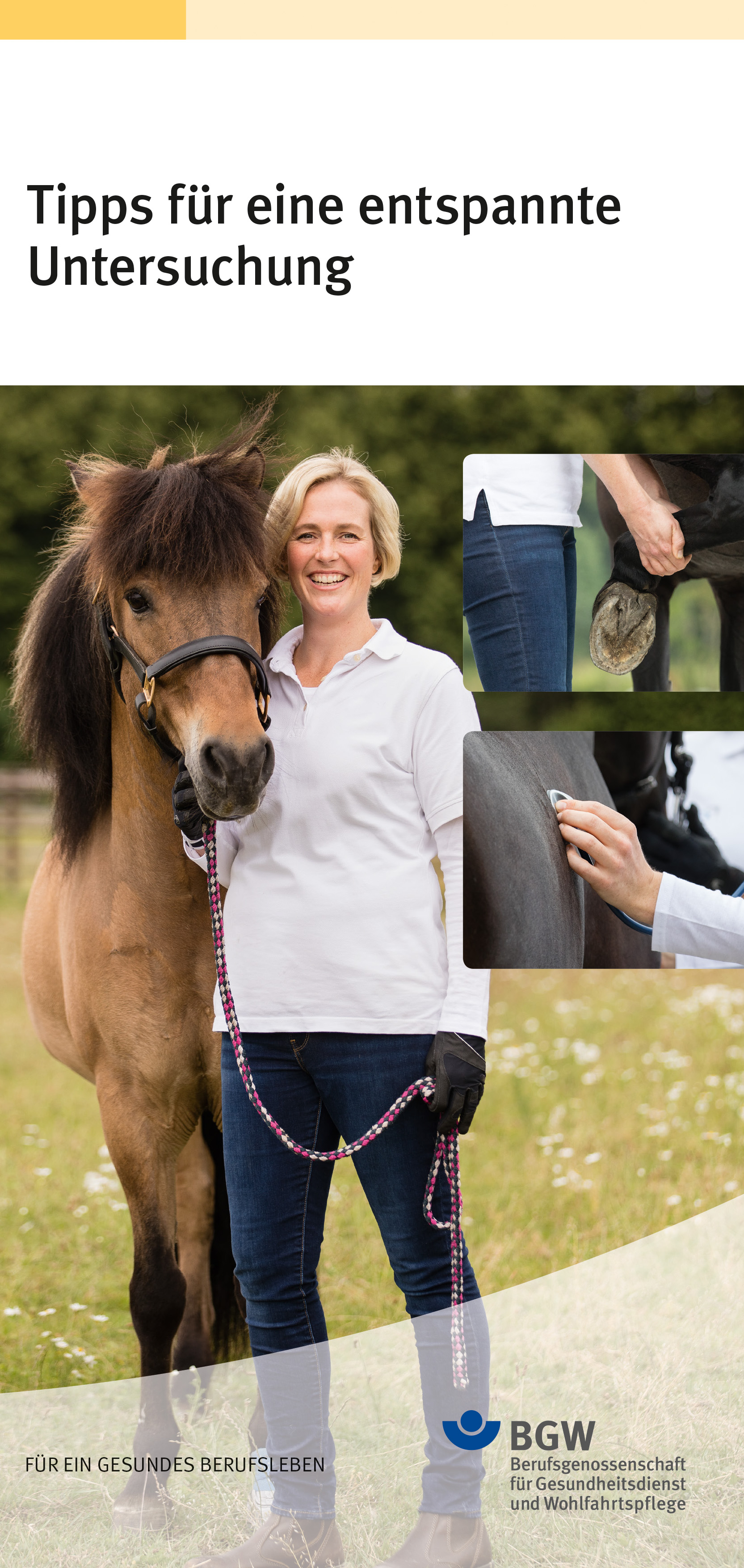 Titel: Tipps für eine entspannte Untersuchung - Bildcollage: Tierärztin neben Pferd, Hand hält Huf, Hand hält Bruststück eines Stethoskop auf den Pferdebauch