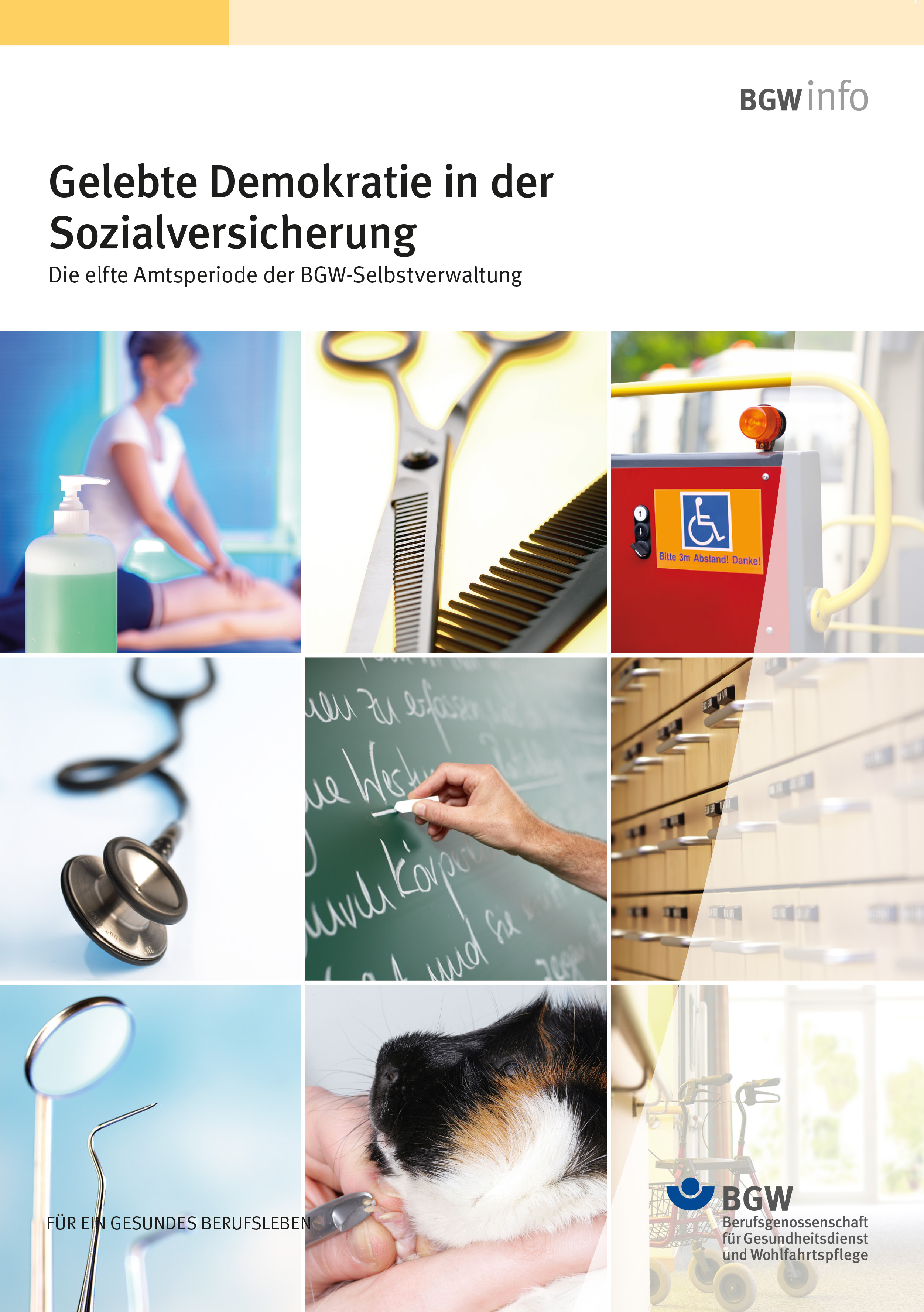 Titel: Gelebte Demokratie in der Sozialversicherung - Die elfte Amtsperiode der BGW-Selbstverwaltung - Foto-Collage mit Branchenmotiven (Massage, Kamm + Schere, Rollstuhlbeförderung, Stethoskop, Tafel, Apothekerschrank, Zahnarztinstrumente, Meerschweinchen, Rollator)