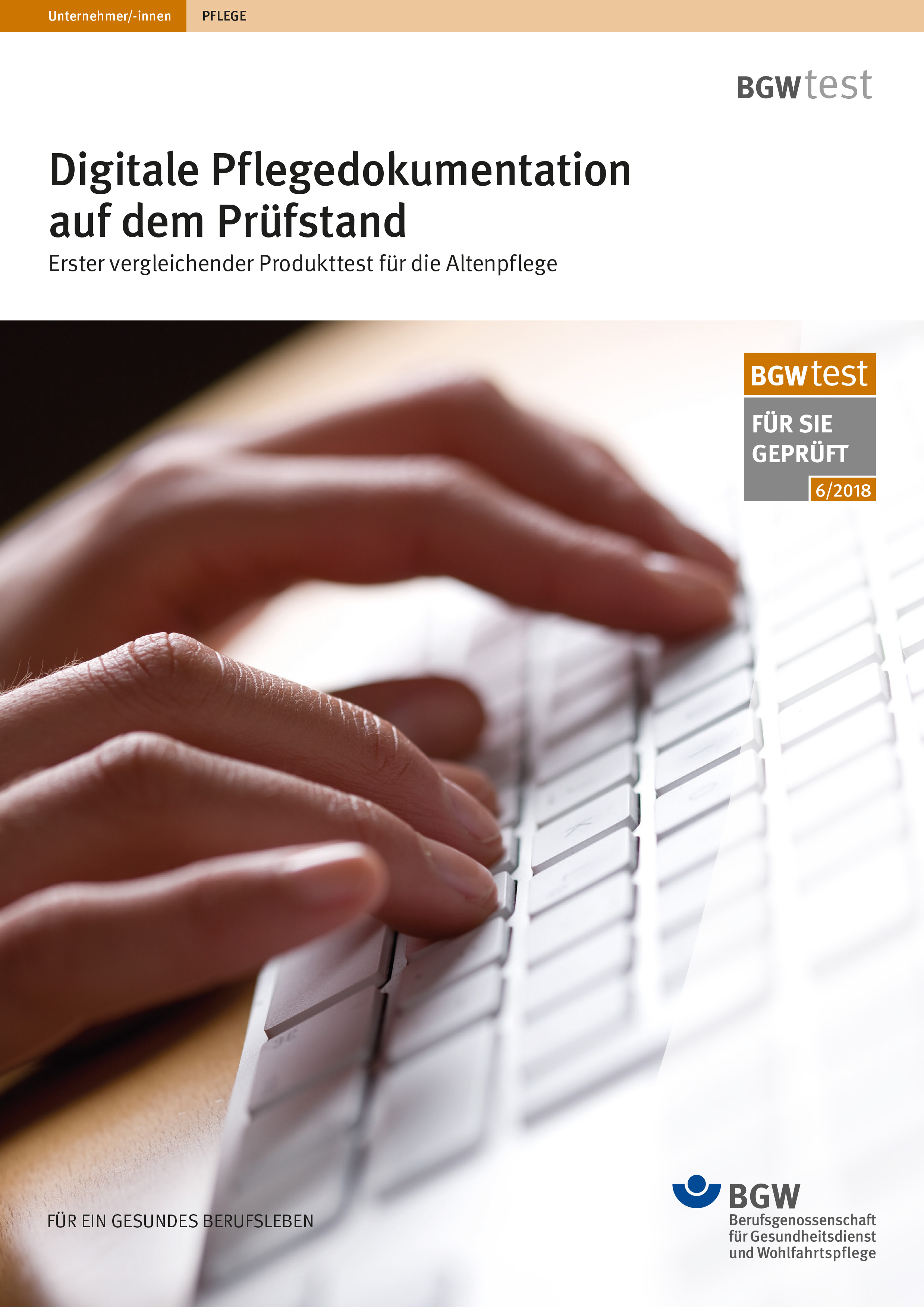 Titel: Digitale Pflegedokumentation auf dem Prüfstand - Hände an Computertastatur