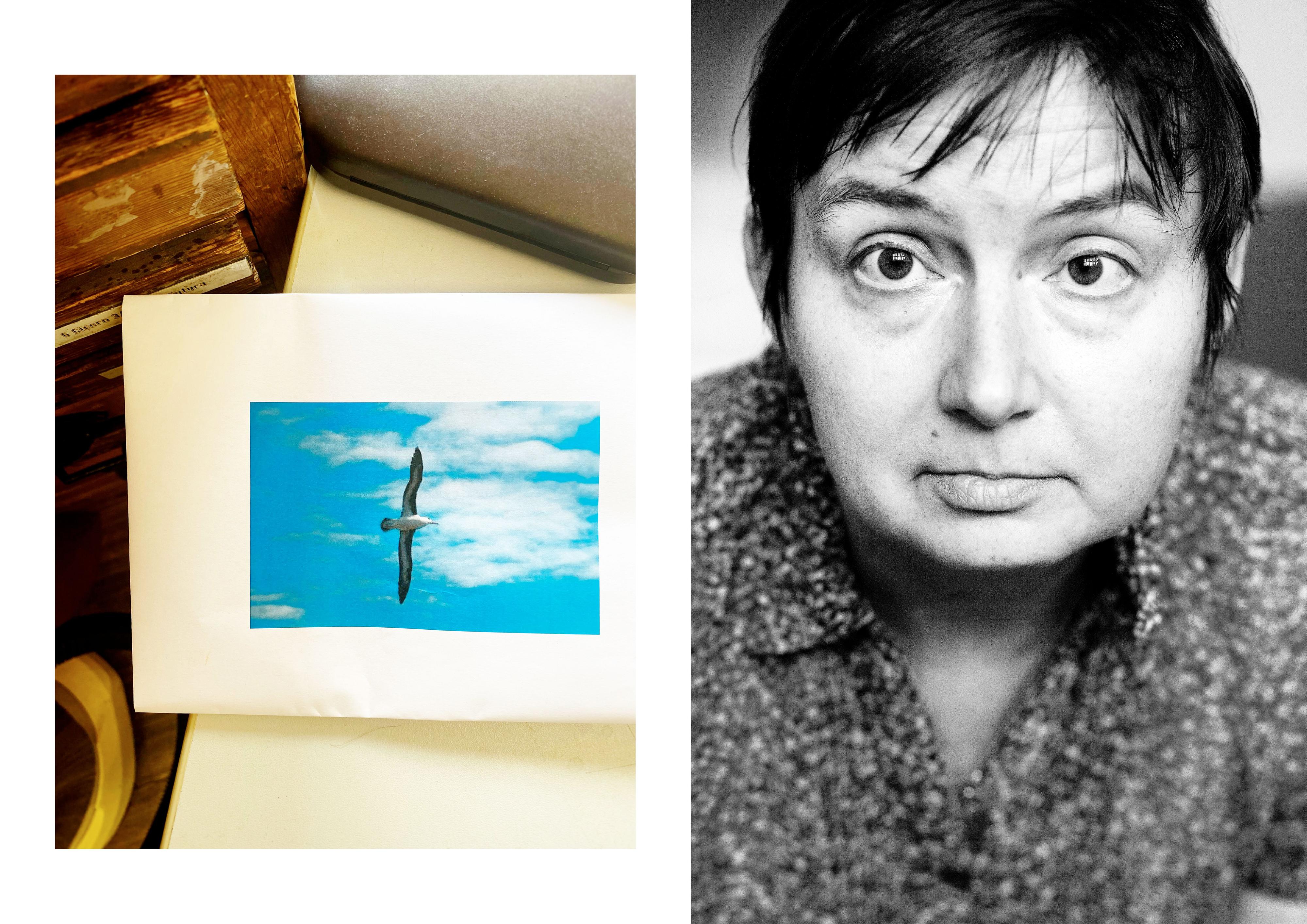 Collage aus zwei Bildern: Links: Auf dem Tisch liegt eine Bild mit einer fliegenden Möwe. Rechts: Porträt einer Frau.