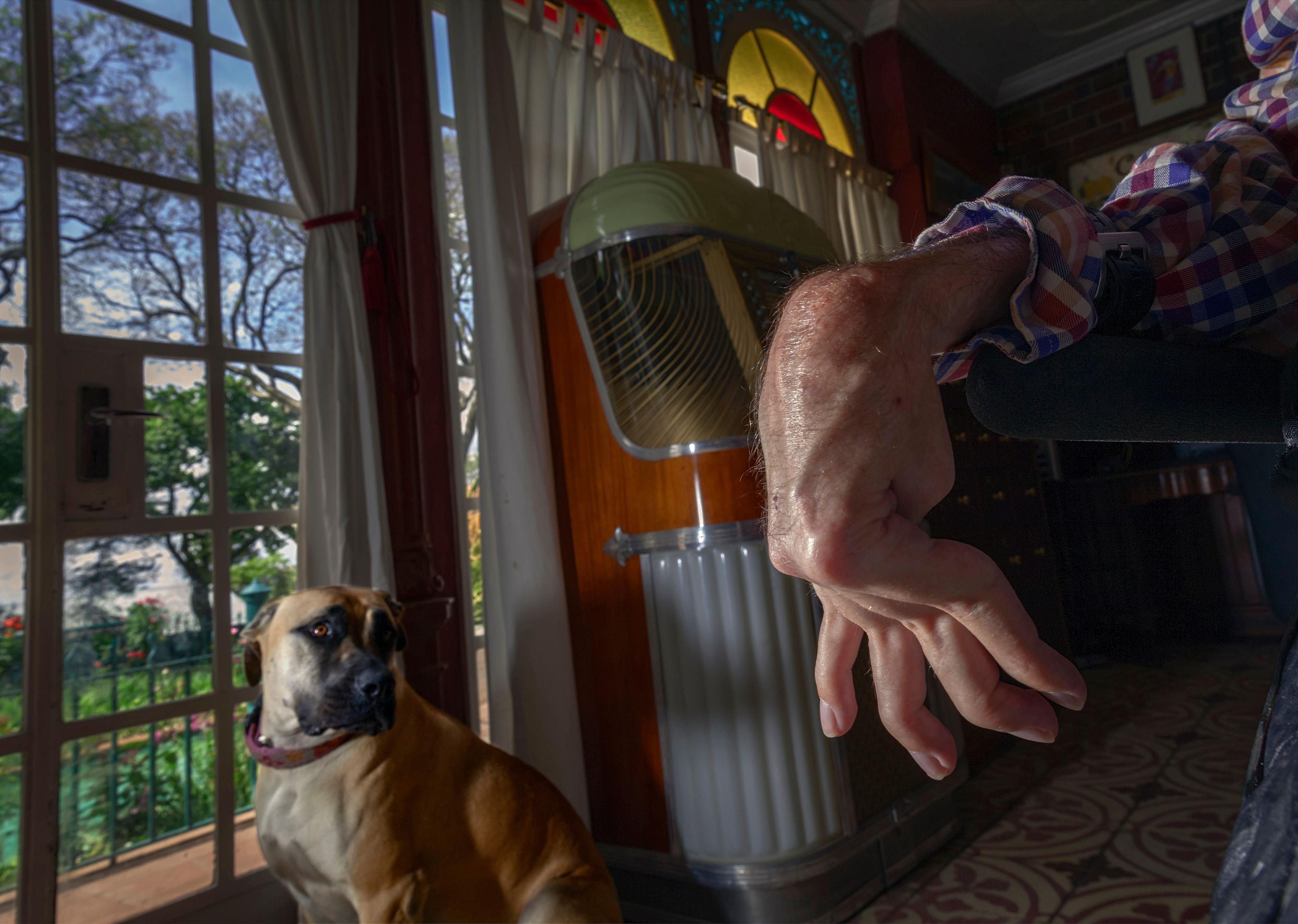 Ein großer brauner Hund sitzt an einem Fenster und schaut ins innere des Zimmers. Im Vordergrund die spastisch gelähmte Hand eines Menschen.