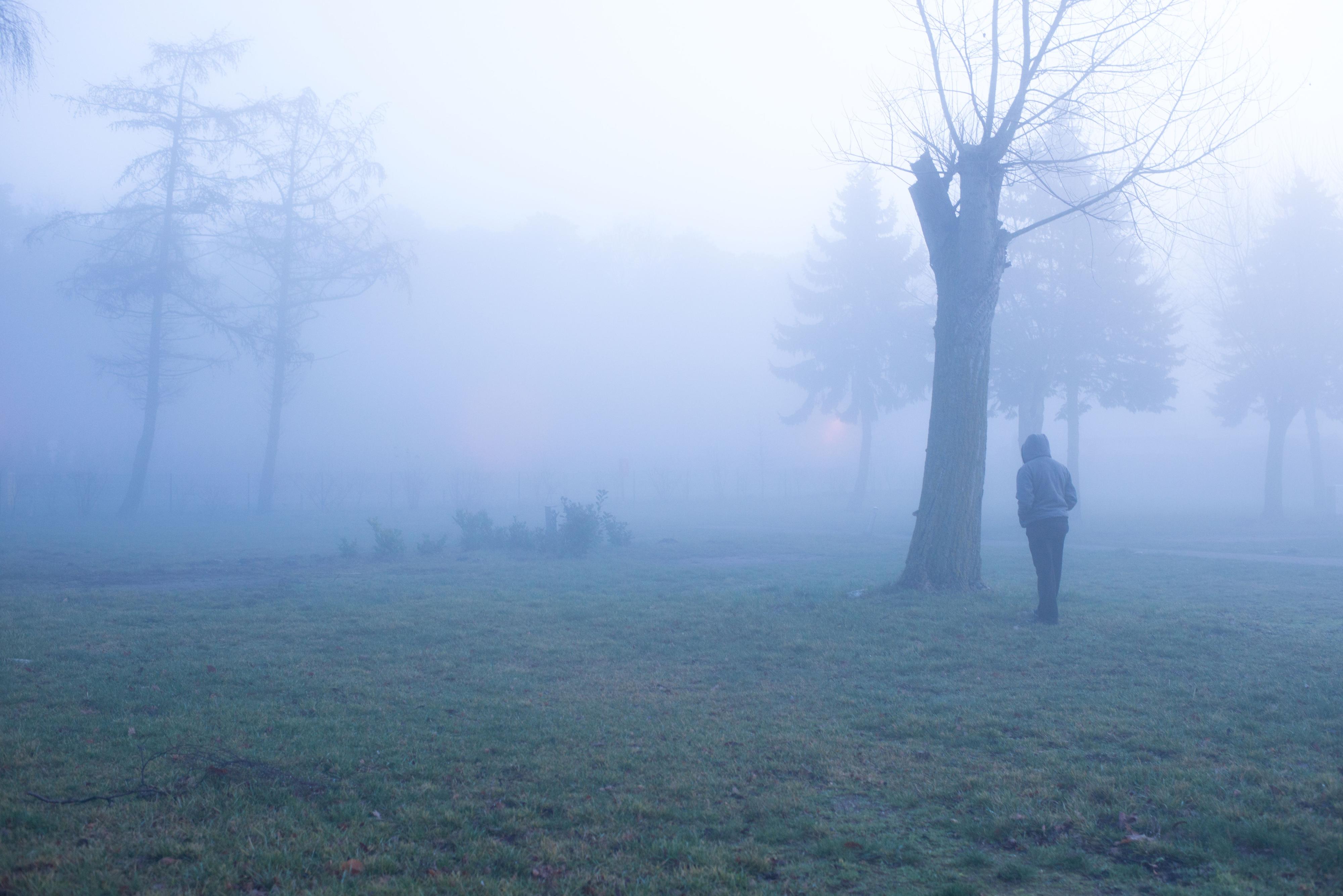 Eine junge Frau steht auf einer Wiese an einem Baum im Nebel.