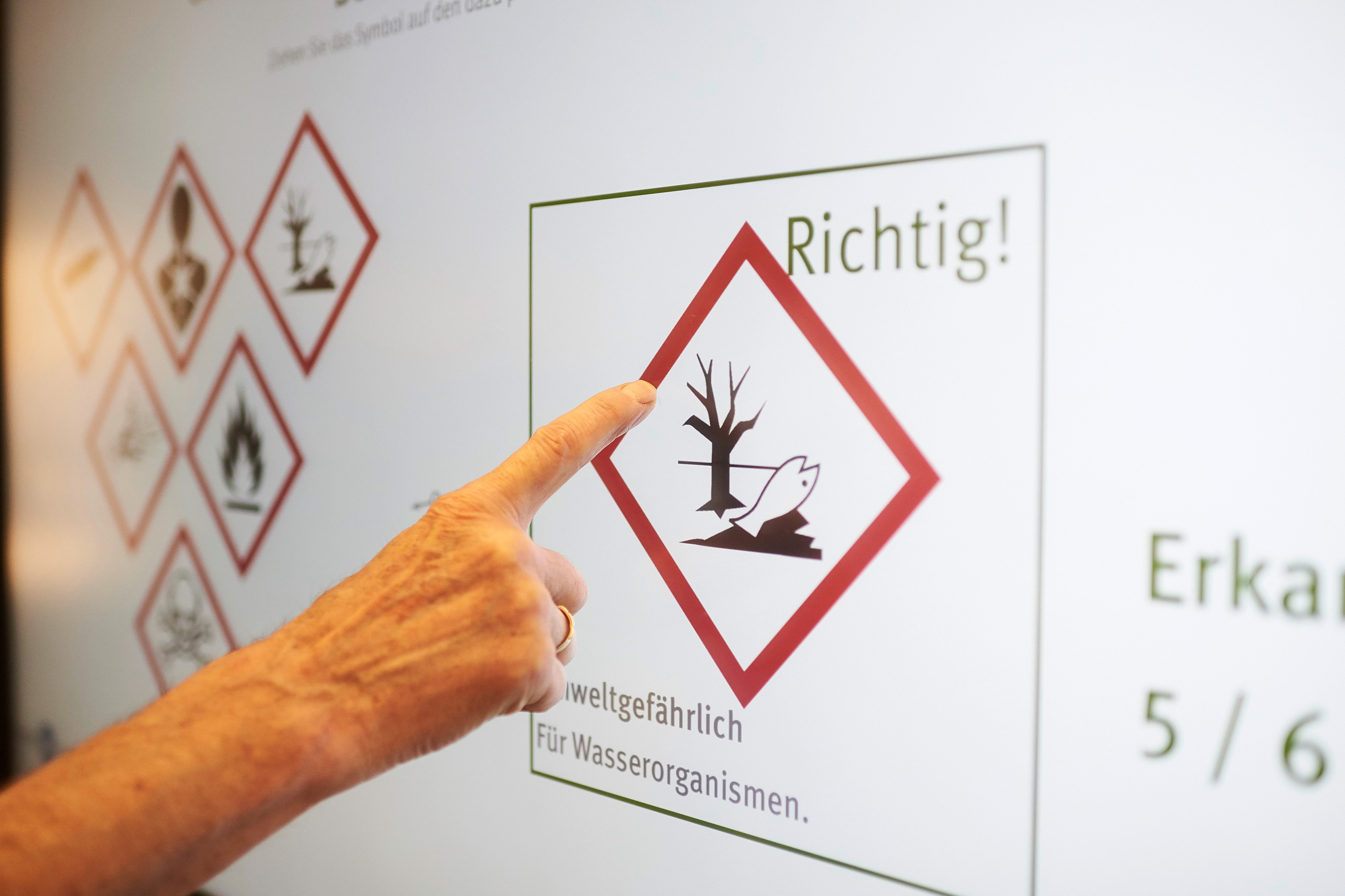 Abbildung Gefahrstoffsymbol "Umweltgefährlich für Wasserorganismen"