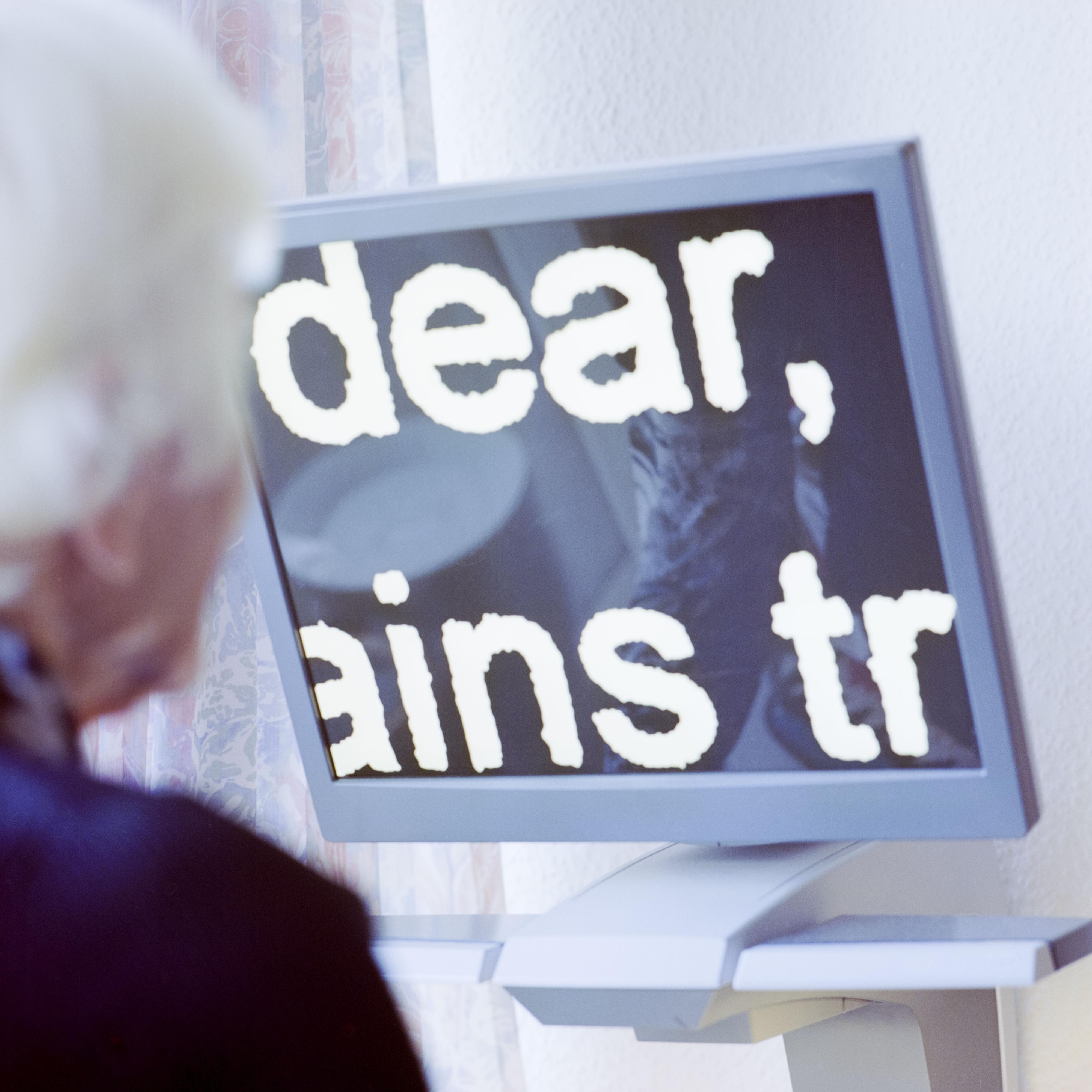 Ein Monitor, auf dem die Worte "dear", "ains" und "tr" zu sehen sind.