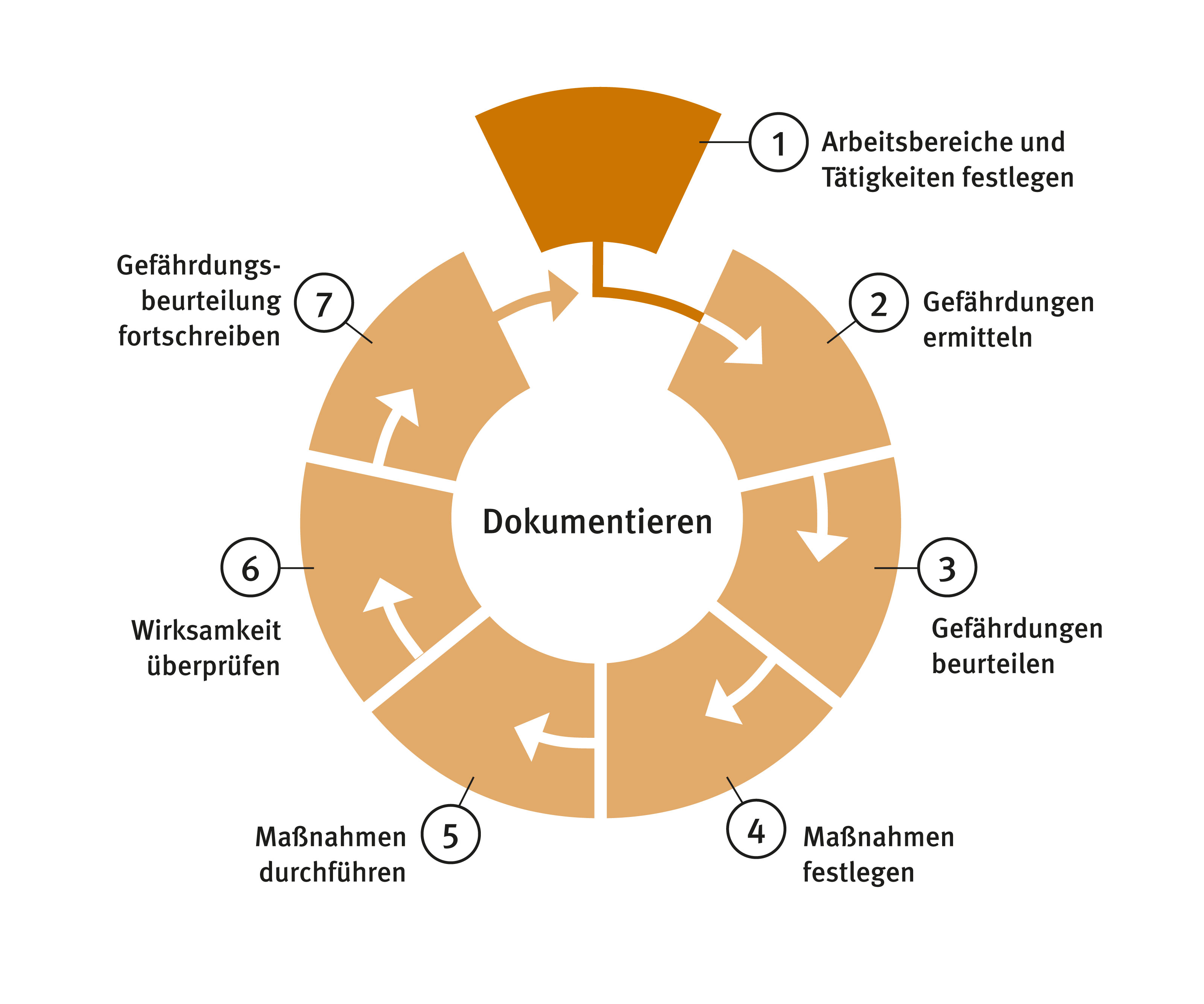 Sieben Schritte der Gefährdungsbeurteilung illustriert in einem Kreisdiagramm.