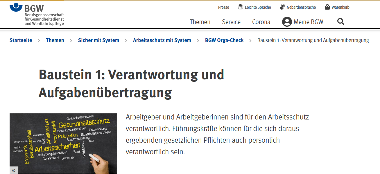 Anleitung BGW Orga-Check: Bildschirmfoto Login bgw-online.de