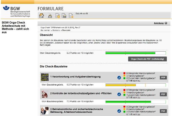 Anleitung BGW Orga-Check: Bildschirmfoto Übersicht ausgefüllte Bausteine