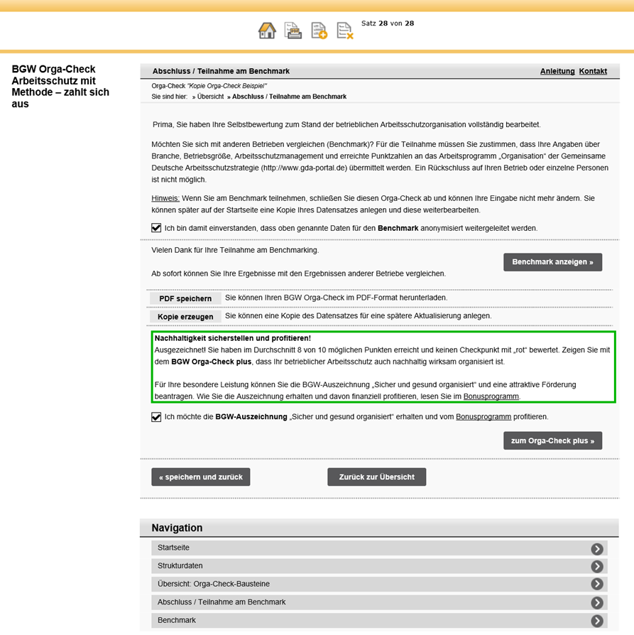 Anleitung BGW Orga-Check: Bildschirmfoto Seite Benchmark