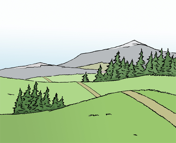 Illustration: Eine Naturlandschaft mit grünen Hügeln, einem Weg, Tannen und Bergen im Hintergrund.