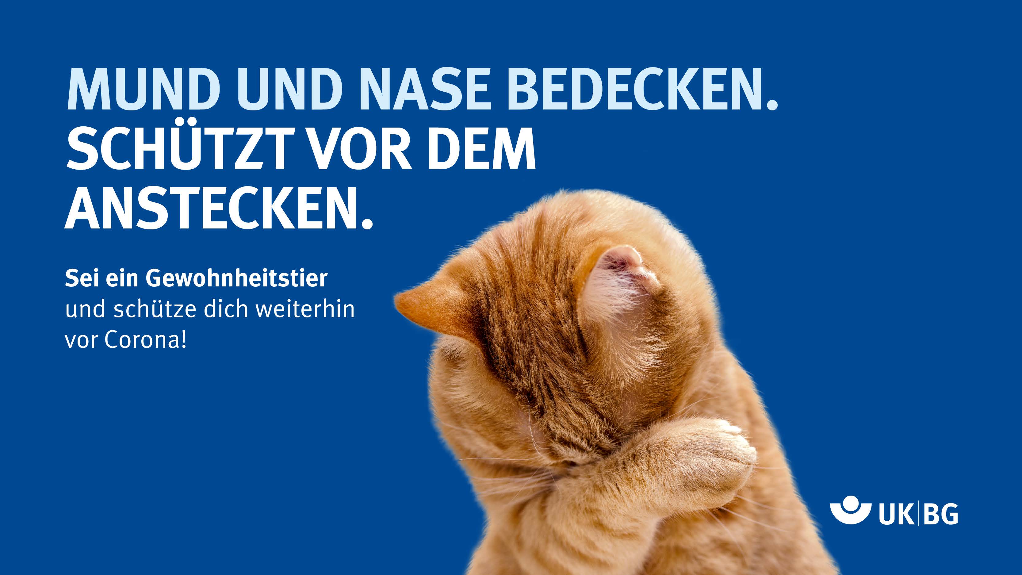 DGUV Gewohnheitstier Maske Katze, mit Pfote vor dem Gesicht und dem DGUV-Schriftzug "Mund und Nase Bedecken"