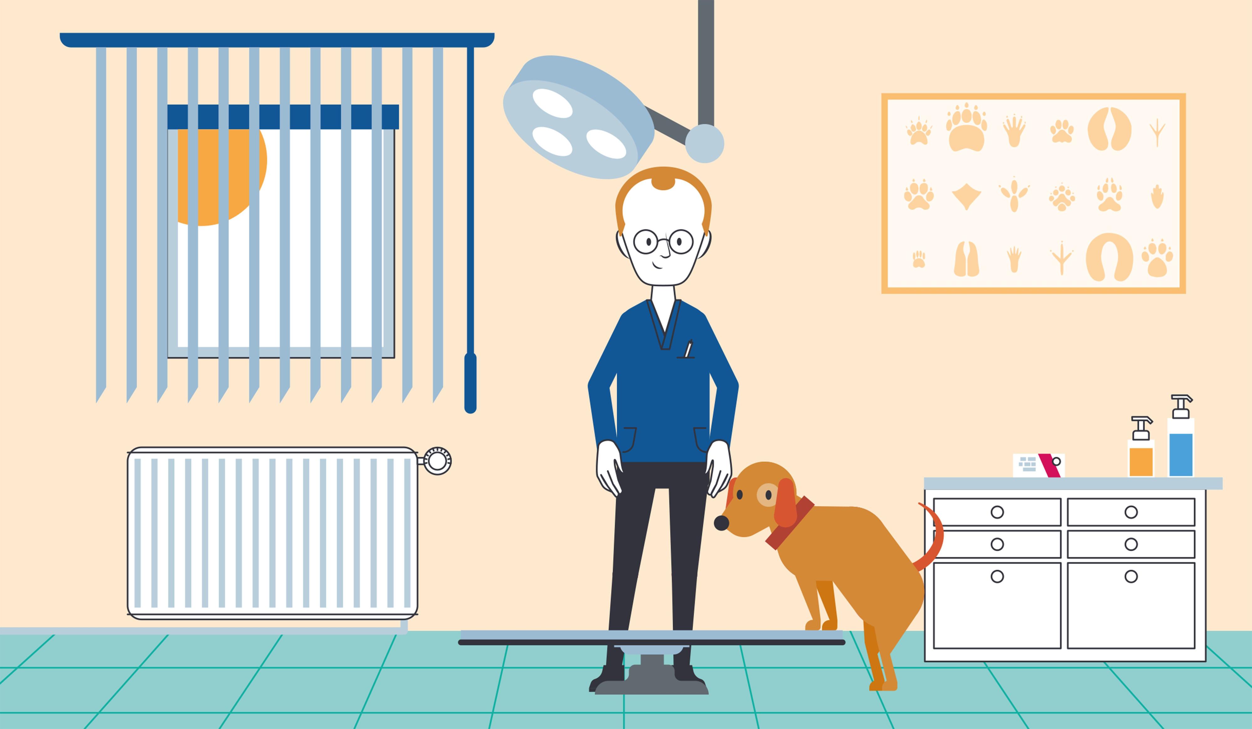 Illustration: Blick in eine Tierarztpraxis - Tierarzt und Hund im Behandlungszimmer, der Hund steht mit den Vorderpfoten auf einem höhenverstellbaren Behandlungstisch.