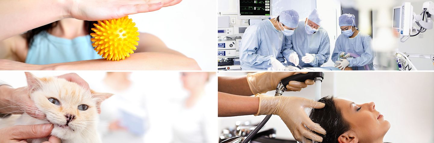 Collage von vier Beufssituationen aus Kinderbetreuung, Klinik, Therapeutische Praxis und Humanmedizin