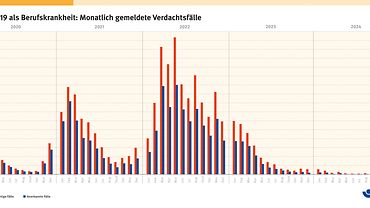 Balkendiagram das die Anzahl der gemeldeten und anerkannten Fällen im Zeitraum von Februar 2020 bis Ende 2024 in Monats-Intervallen zeigt.