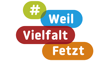 Weil Vielfalt fetzt Logo Weil Vielfalt fetzt