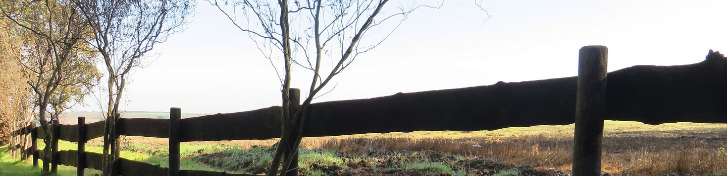 Ein Holzzaun auf einem herbstlichen Feld