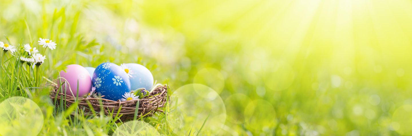 Eine grüne Wiese mit einem Nest mit bunt bemalten Eiern und Sonnenschein im Hintergrund.