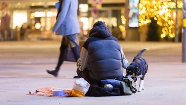 Eine Person sitzt in der Fußgängerzone auf dem Boden, vor ihr steht ein Hund und um sie herum liegen einige Habseligkeiten.