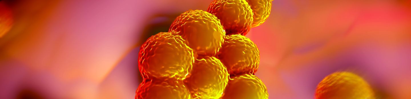 Infektionsschutz ist eine wichtige Aufgabe des betrieblichen Arbeits- und Gesundheitsschutzes Abbildung eines Staphylococcus aureus Bakteriums (MRSA)