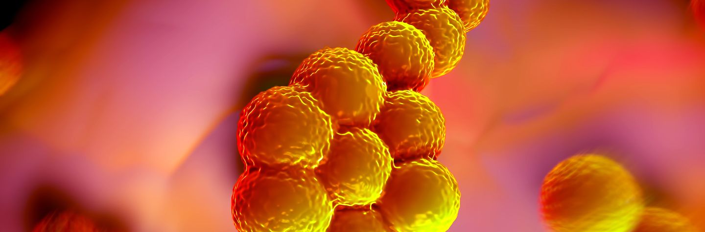 Abbildung eines Staphylococcus aureus Bakteriums (MRSA)