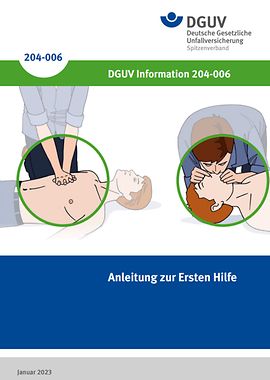 Titel: BGI 503 Anleitung zur Ersten Hilfe - Illustrationen von Erste-Hilfe-Situationen: Herzdruckmassage, Mund-zu-Mund-Beatmung