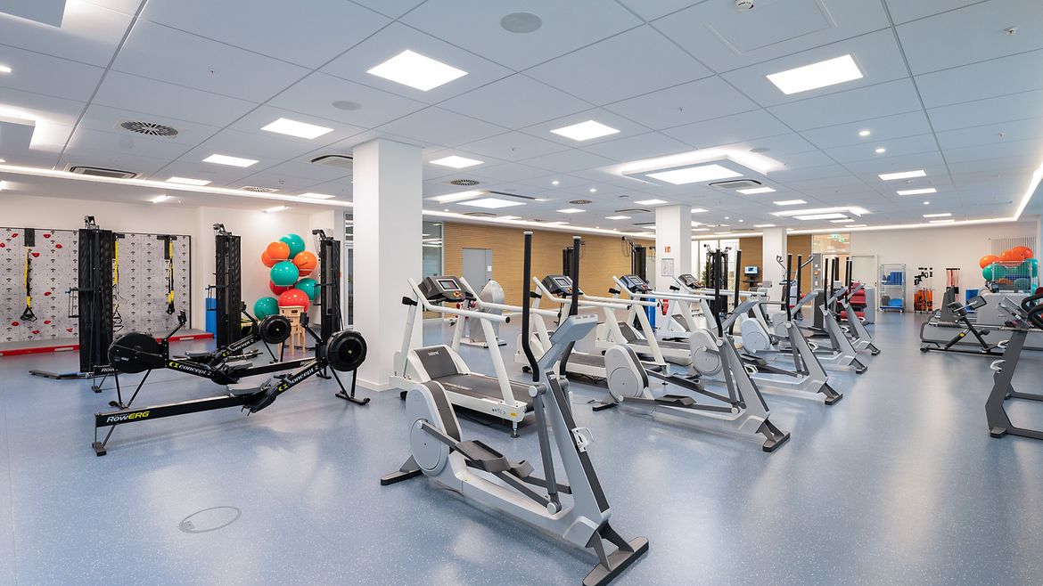 Eine lange Reihe von Cardiogeräten (Crosstrainer und Laufbänder) steht in einem Fitnessraum. An den Fenstern links ist spiegelverkehrt der Schriftzug bgw rückenkolleg zu lesen.