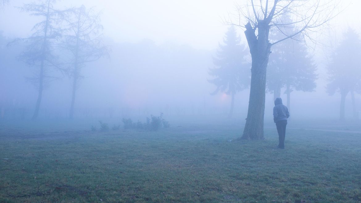 Eine junge Frau steht auf einer Wiese an einem Baum im Nebel.