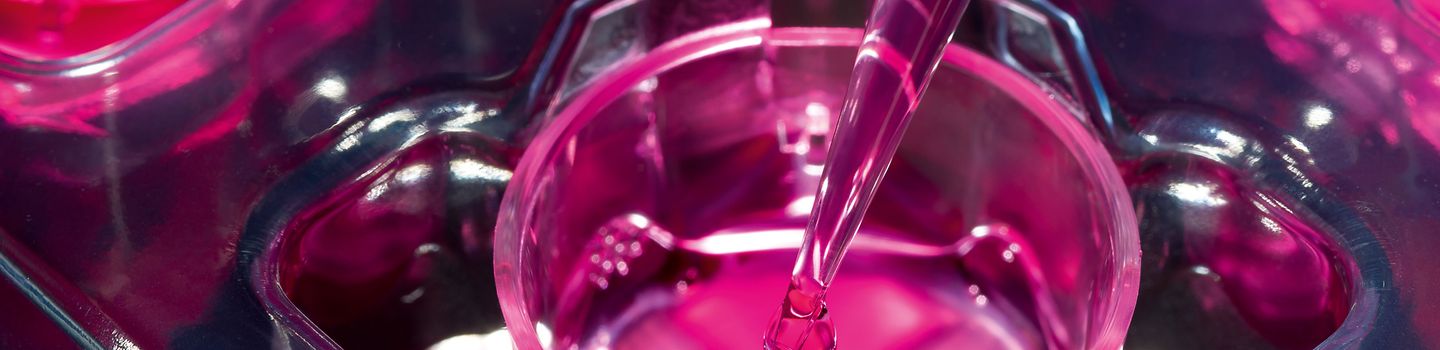 Zellbiologie Zellbiologie - Entnahme einer zellbiologischen Probe