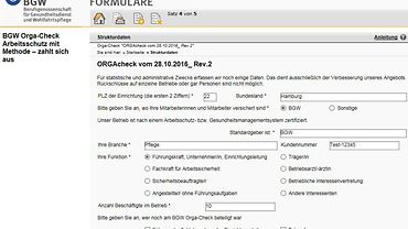 Anleitung BGW Orga-Check: Bildschirmfoto Strukturdatenseite