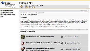 Anleitung BGW Orga-Check: Bildschirmfoto Übersicht