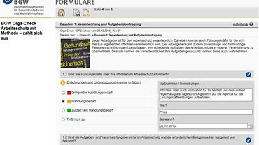 Anleitung BGW Orga-Check: Bildschirmfoto Baustein