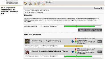 Anleitung BGW Orga-Check: Bildschirmfoto Übersicht ausgefüllte Bausteine