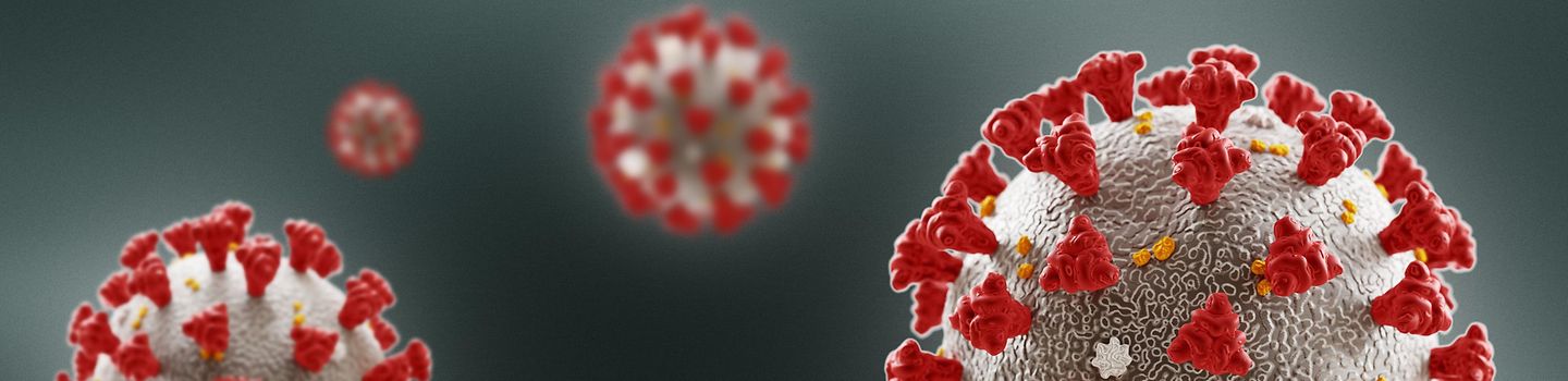 Coronavirus Corona Virus 3D-Modellansicht