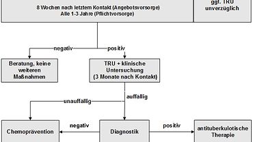 Empfehlung zur betriebsärztlichen Beratung und Untersuchung nach TB-Kontakt in Anlehnung an die DZK-Empfehlungen Schema/Handlungsempfehlung zur betriebsärztlichen Beratung und Untersuchung nach Tuberkulose-Kontakt
