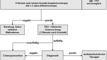 Schema/Handlungsempfehlung zur betriebsärztlichen Beratung und Untersuchung nach Tuberkulose-Kontakt