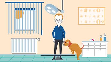 Illustration: Blick in eine Tierarztpraxis - Tierarzt und Hund im Behandlungszimmer, der Hund steht mit den Vorderpfoten auf einem höhenverstellbaren Behandlungstisch.