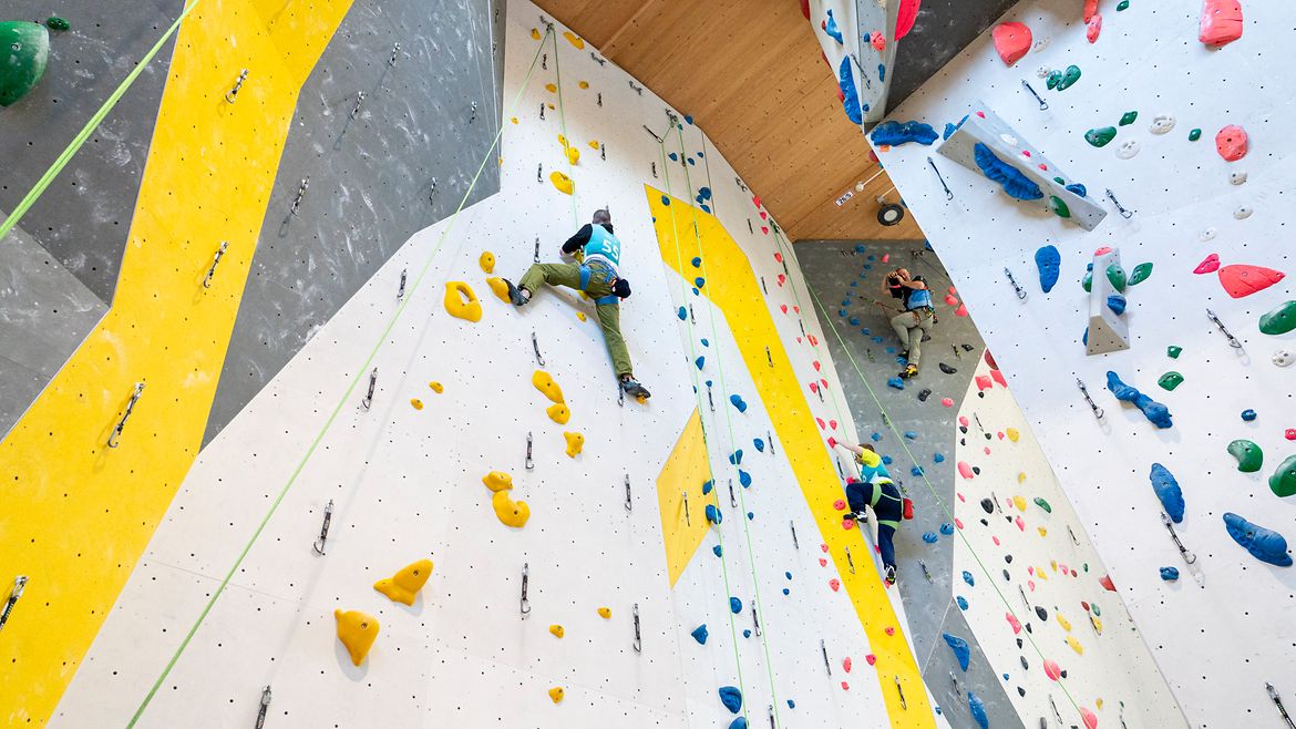 Eine Kletterhalle. Man sieht die Kletterwände mit Routen. 3 Personen klettern an den Wänden.